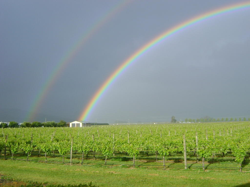 بلينهايم Marlborough Vintners Accommodation المظهر الخارجي الصورة